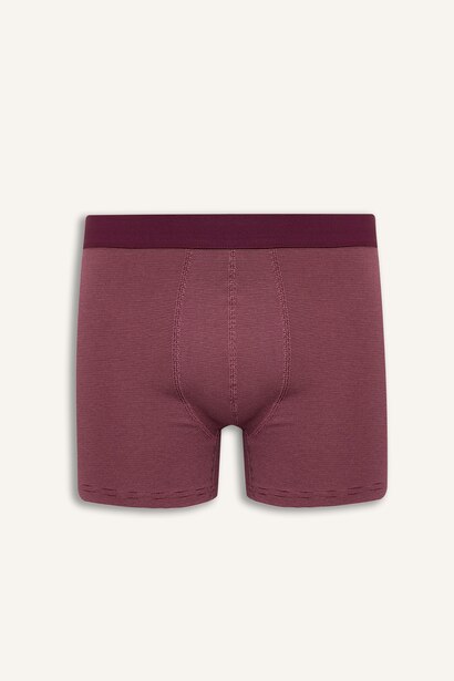 Regular Fit Çizgili 3'lü Boxer