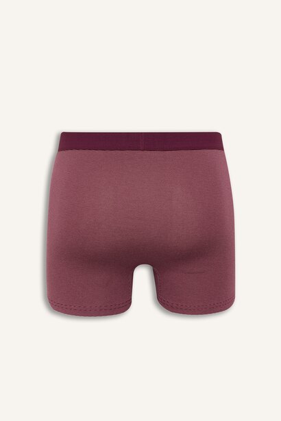 Regular Fit Çizgili 3'lü Boxer