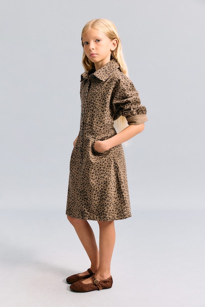 Long Sleeve Woven Dress