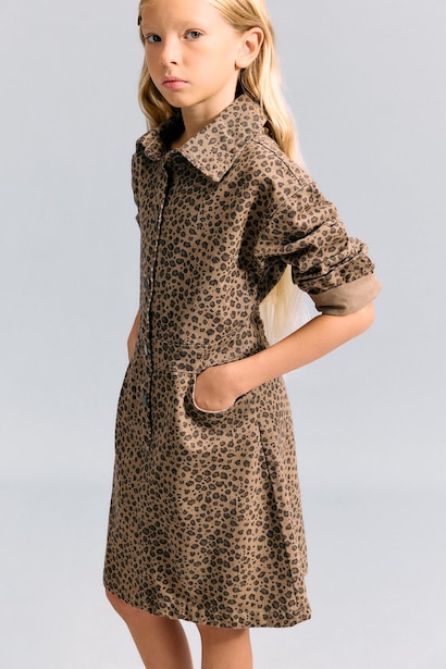 Long Sleeve Woven Dress
