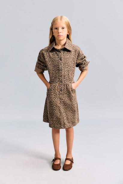Long Sleeve Woven Dress