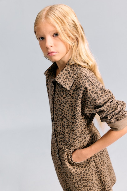 Long Sleeve Woven Dress