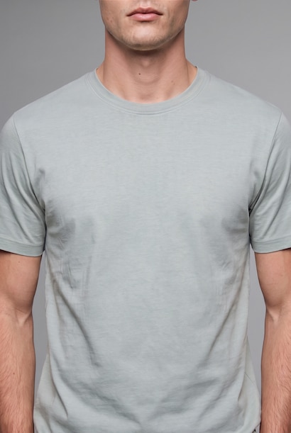 Crew Neck Regular Fit Short Sleeve T-Shirt