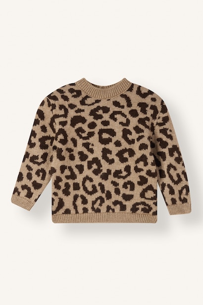 Baby Girl Regular Fit Crew Neck Pullover