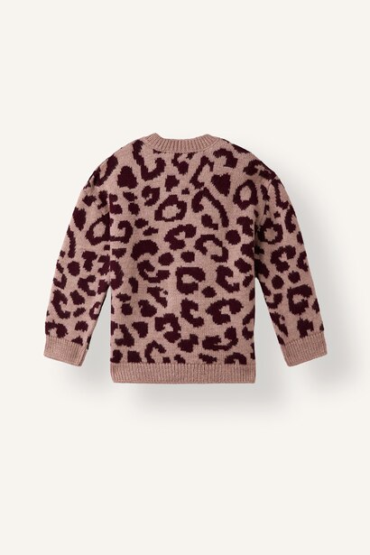 Regular Fit Crew Neck Cardigan