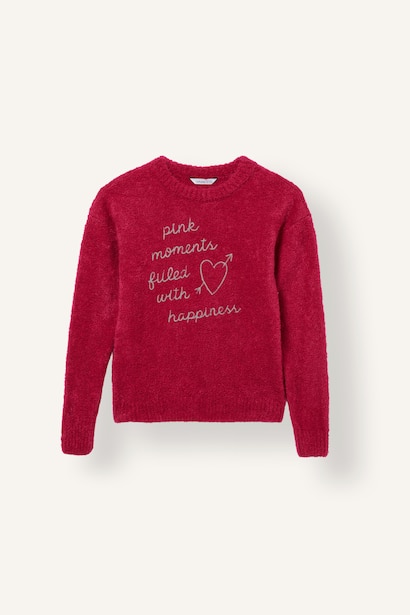Girl Regular Fit Embroidered Crew Neck Pullover