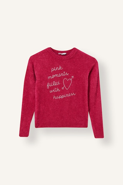 Girl Regular Fit Embroidered Crew Neck Pullover