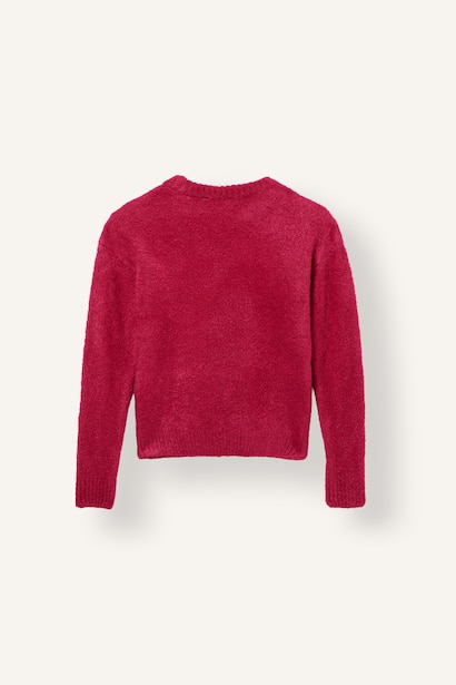Girl Regular Fit Embroidered Crew Neck Pullover