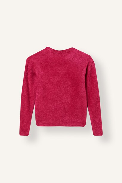 Girl Regular Fit Embroidered Crew Neck Pullover
