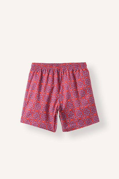 Regular Fit Swim Shorts