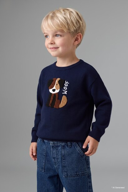 Baby Boy Regular Fit Pullover