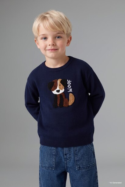 Baby Boy Regular Fit Pullover