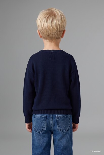Baby Boy Regular Fit Pullover