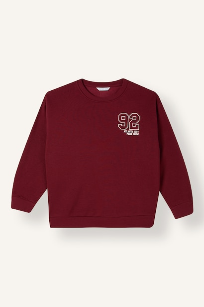 Regular Fit Printed Crew Neck Sweatshirt