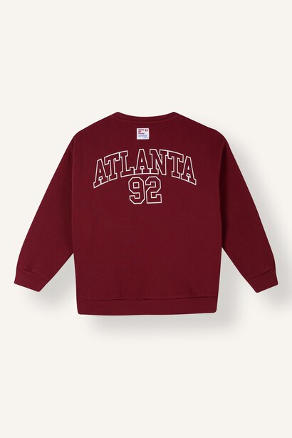 Regular Fit Printed Crew Neck Sweatshirt