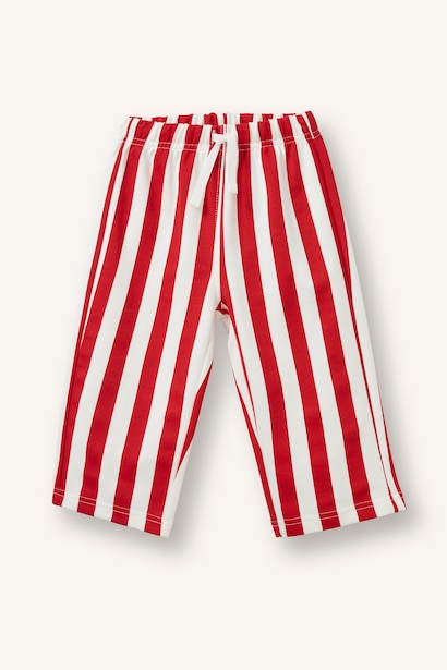 Regular Fit Striped Normal Waist Trousers