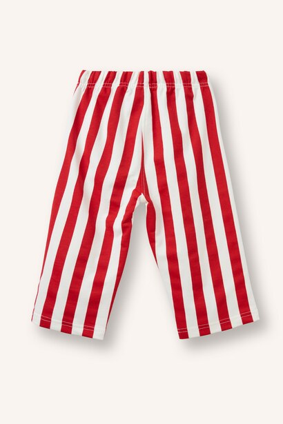 Regular Fit Striped Normal Waist Trousers