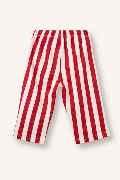 Regular Fit Striped Normal Waist Trousers