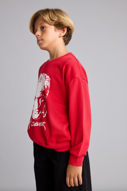 Regular Fit Printed Crew Neck Sweatshirt