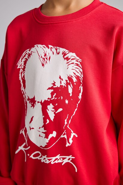 Regular Fit Printed Crew Neck Sweatshirt
