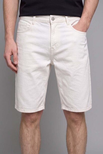 Regular Fit Denim Shorts