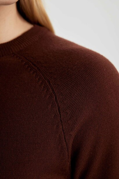 Regular Fit Pullover