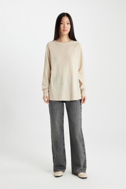 Regular Fit Crew Neck Pullover