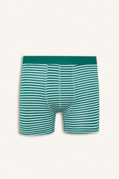 Regular Fit Çizgili 2'li Boxer