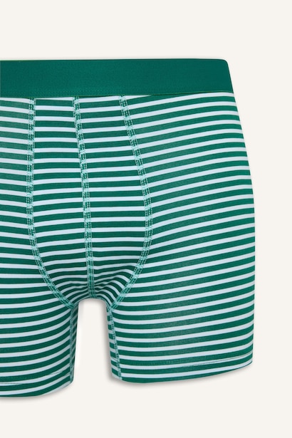 Regular Fit Çizgili 2'li Boxer