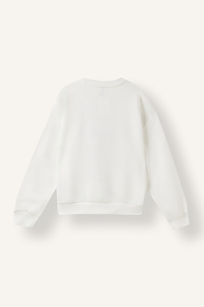 Regular Fit Animal Print Crew Neck Sweatshirt