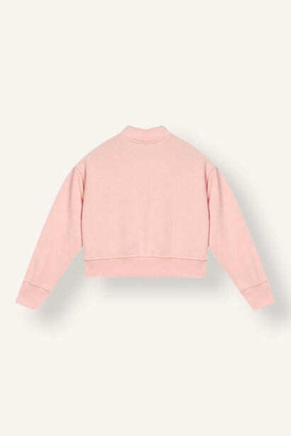 Boxy Fit Dog Collar Sweatshirt