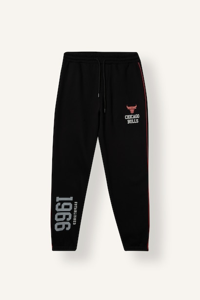 Standard Fit Thick Sweatshirt Fabric Jogger