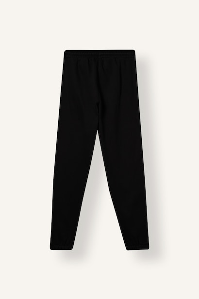 Standard Fit Thick Sweatshirt Fabric Jogger