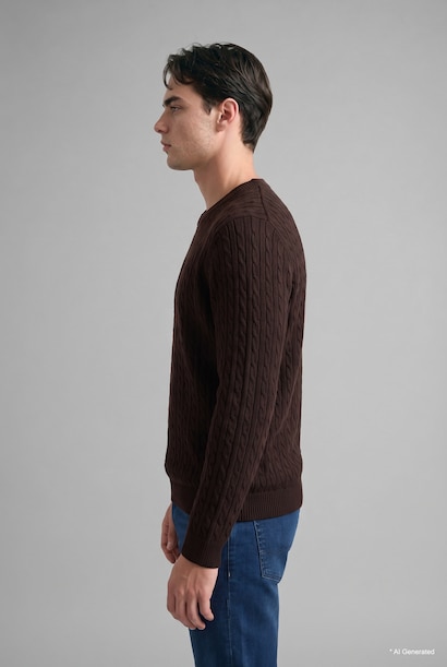 Regular Fit Knitwear Pullover
