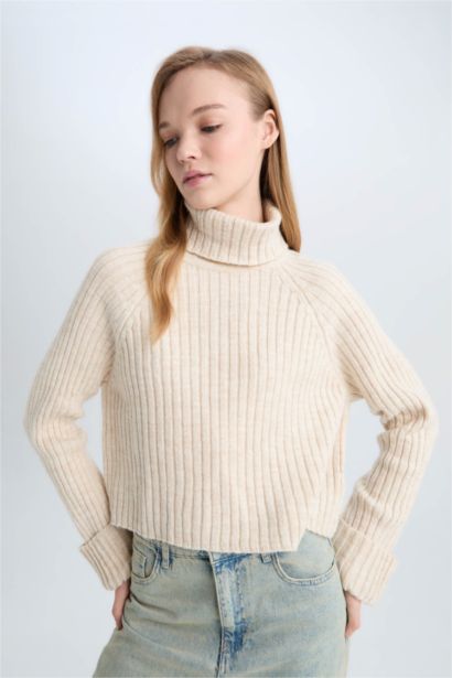 Pull tricot Oversize à col roulé Coupe ample