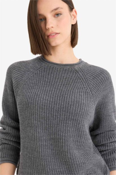 Regular Fit Crew Neck Basic Dress Pullover