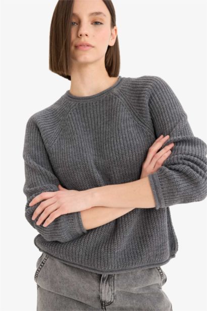 Regular Fit Crew Neck Basic Dress Pullover