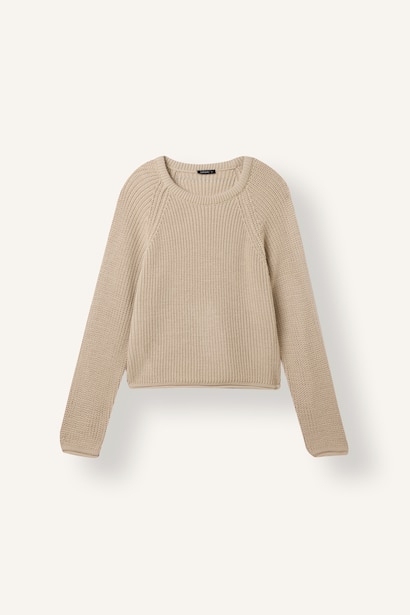 Regular Fit Crew Neck Knitted Sweater