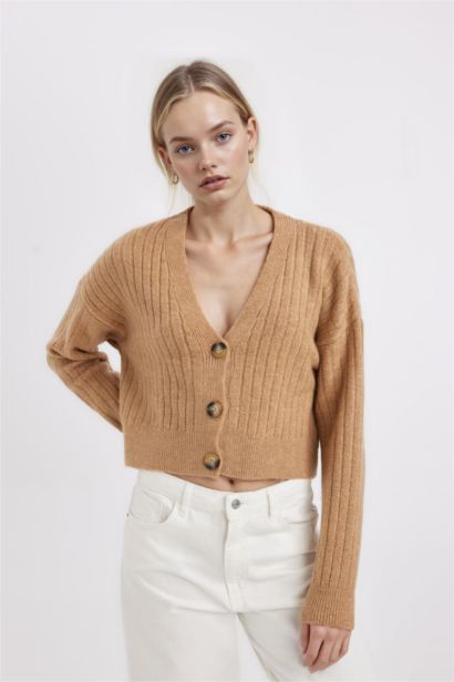 Regular Fit V Neck Basic Knitwear Cardigan