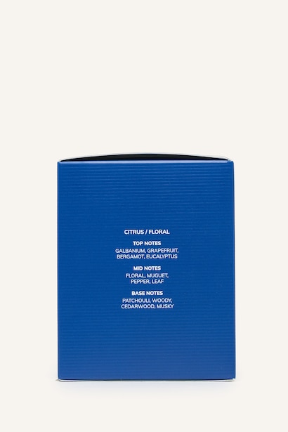 Erkek 100 ml Aqua Seie Parfüm
