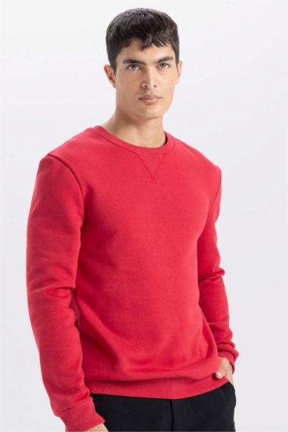 Regular Fit Crew Neck Thick Basic Sweatshirt