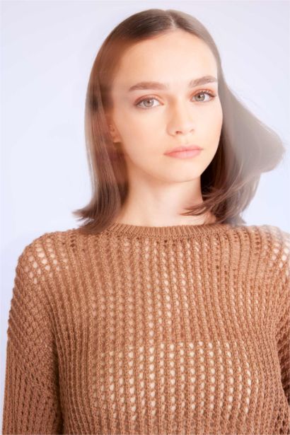 Regular Fit Crew Neck Crochet Openwork Crop Knitted Pullover