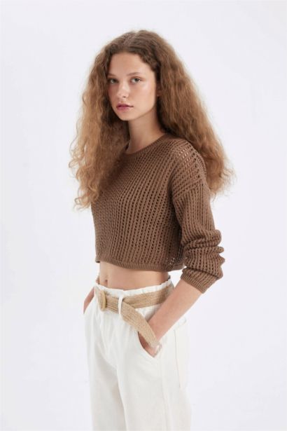 Regular Fit Crew Neck Crochet Openwork Crop Knitted Pullover