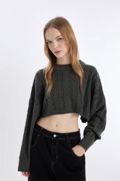 Regular Fit Crew Neck Hair Knitted Crop Pullover