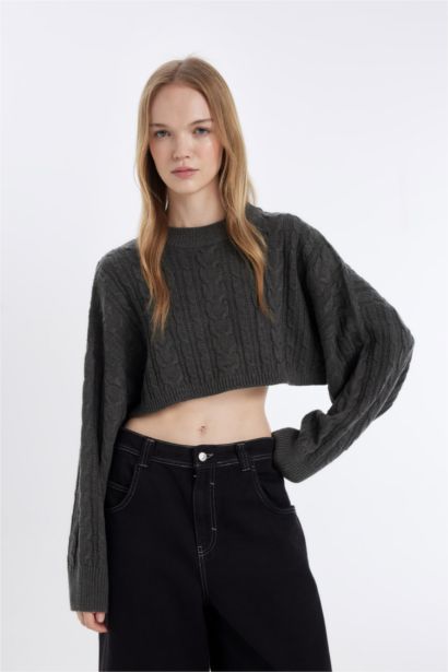 Regular Fit Crew Neck Hair Knitted Crop Pullover