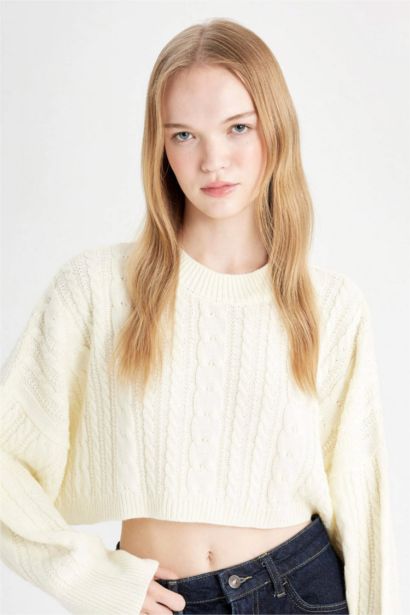 Regular Fit Crew Neck Knitted Crop Pullover