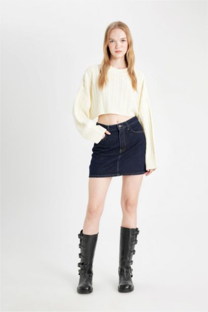 Regular Fit Crew Neck Knitted Crop Pullover