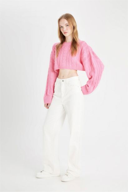 Regular Fit Crew Neck Knitted Crop Pullover