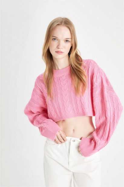 Regular Fit Crew Neck Knitted Crop Pullover