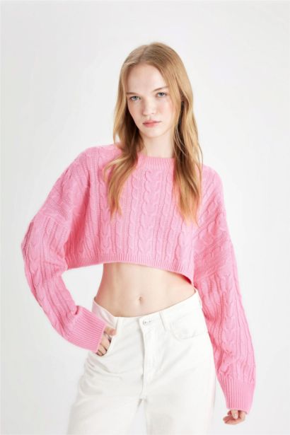 Regular Fit Crew Neck Knitted Crop Pullover